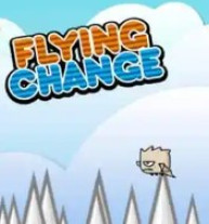 Flying Change