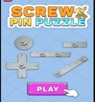 Screw Pin Puzzle