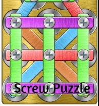 Screw Puzzle